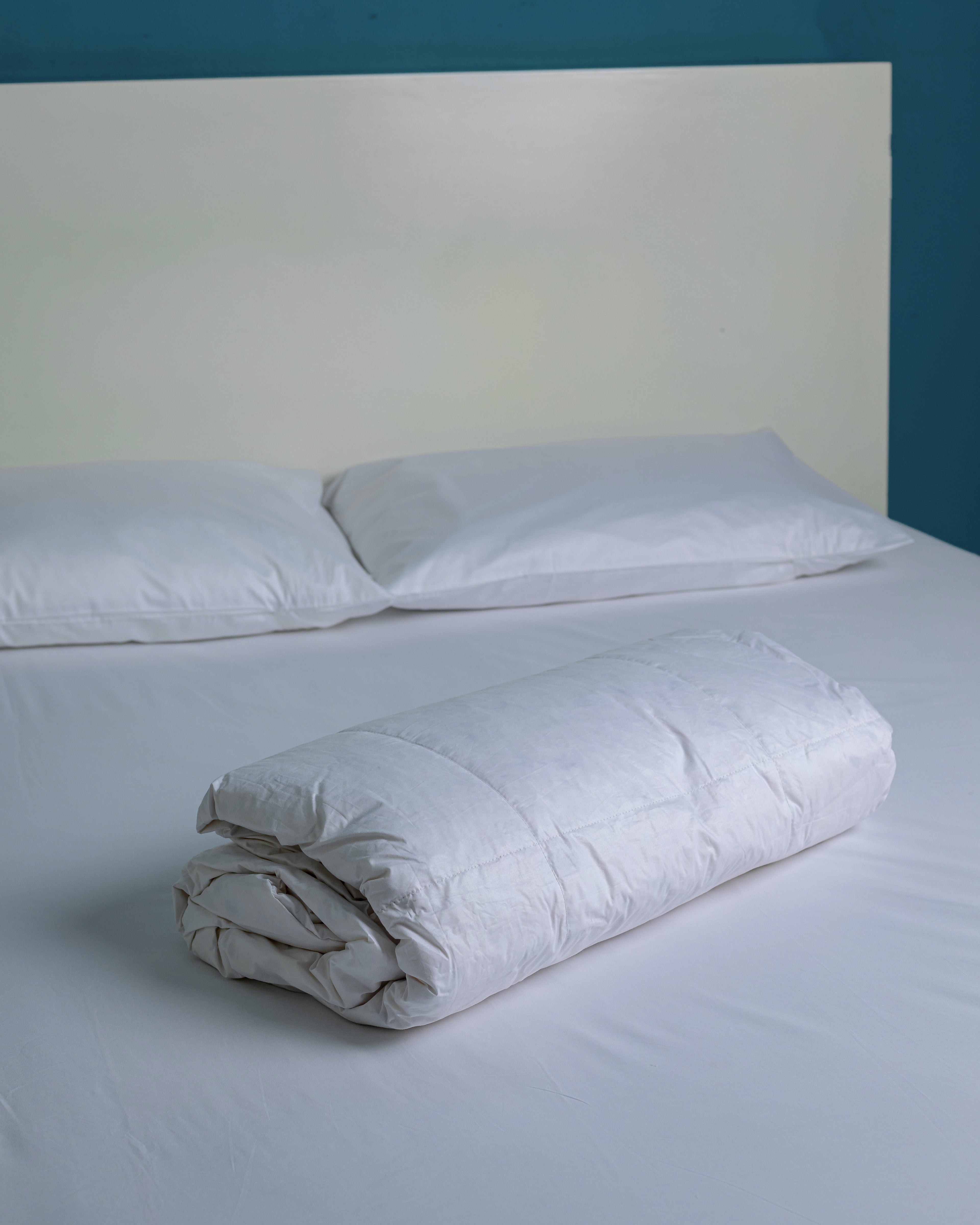 100% Natural Feather Duvet - Down Proof Fabric