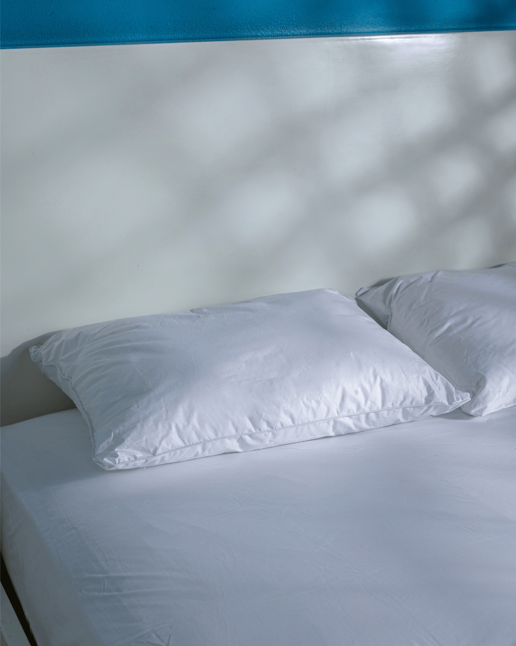 مخدة ريش طبيعى 100% - قماش معالج ضد النفاد