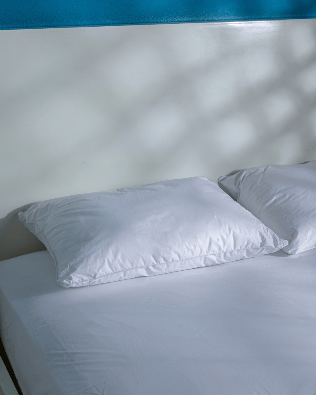 100% Natural Feather Pillow - Down Proof Fabric